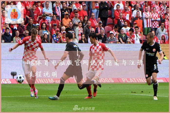 ng体育电脑版官网使用指南与注册流程说明