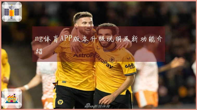 ng体育APP版本升级说明及新功能介绍