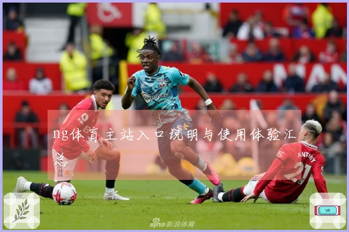 ng体育主站入口说明与使用体验汇总