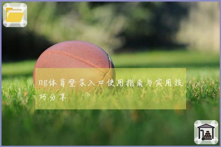 ng体育登录入口使用指南与实用技巧分享