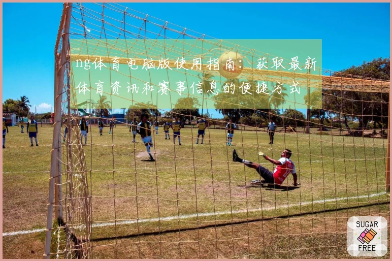 ng体育电脑版使用指南：获取最新体育资讯和赛事信息的便捷方式