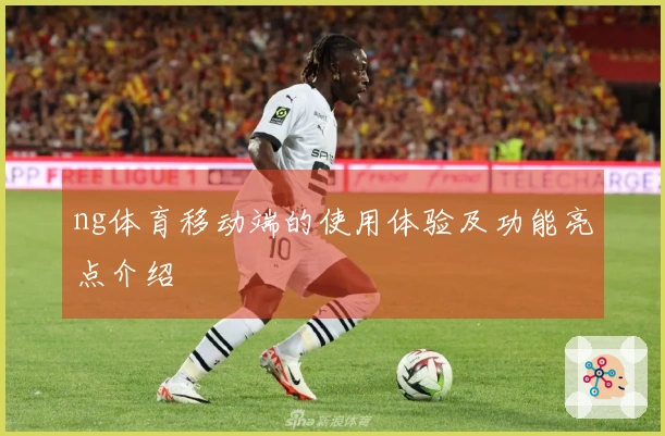 ng体育移动端的使用体验及功能亮点介绍
