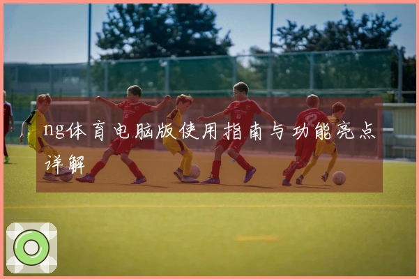 ng体育电脑版使用指南与功能亮点详解
